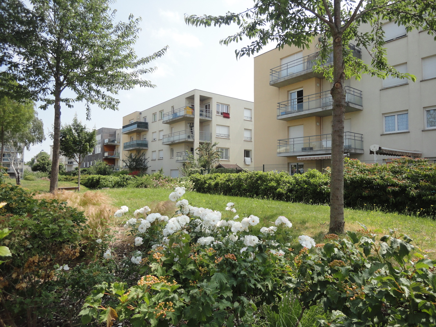 72_Le Mans_Rue Louison Bobet.jpg